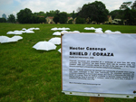 Hector Canonge SHIELD at FIGMENT 2009 Pic01